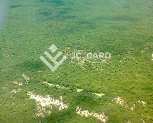 Muy Buen Campo Mixto en Venta