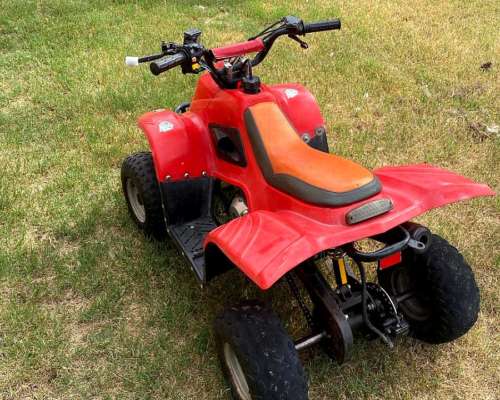 Cuatriciclo Panther 70cc Niño