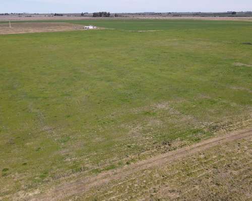 10 Hectáreas Agrícolas a 500 Metros de Ruta, Gualeguaychú.