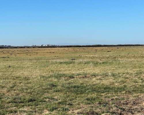 302 Has. Bahia Blanca con Arroyo