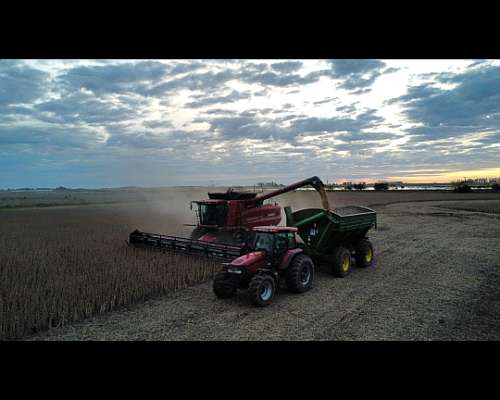 Servicios de Cosecha Axial