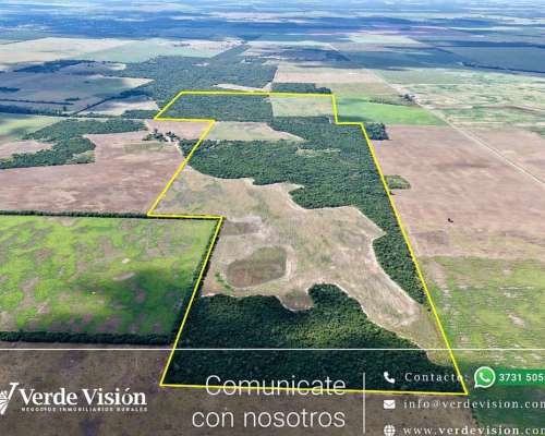 134 Has en Venta - Pcia del Chaco, Campo Largo