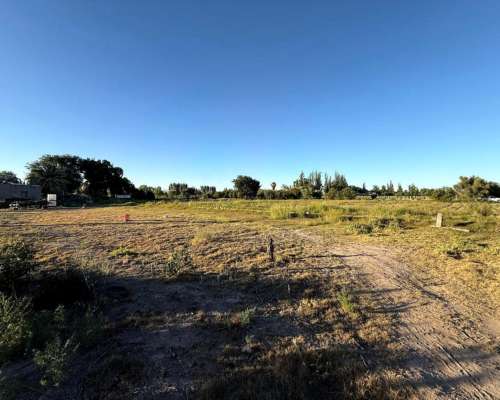 Finca 5.5 Ha con D° de Riego, Junin, Mendoza