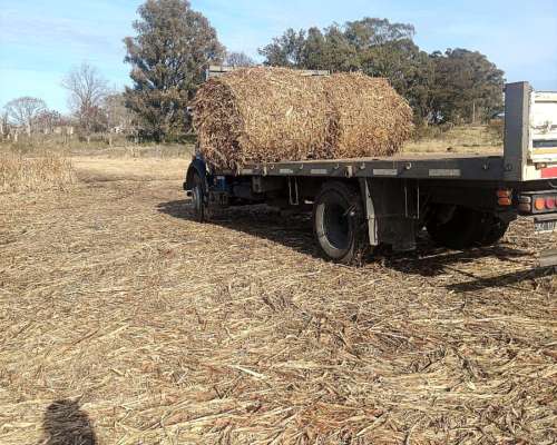 Transporte Carga Provincia Buenos Aires/ Entre Rios