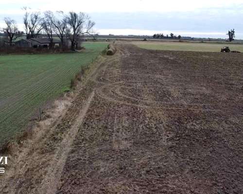 19 Ha - el Trebol - Santa FE