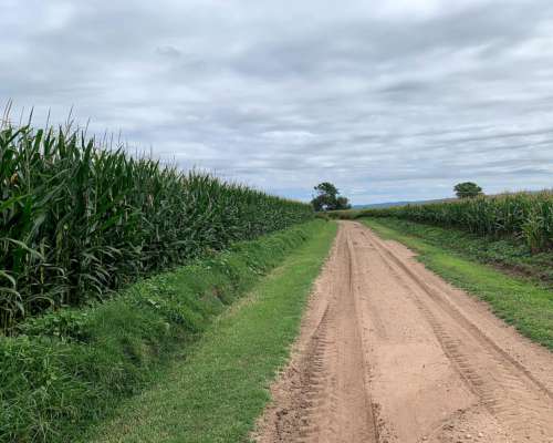 Campo en Camino de Jesus Maria y Ascochinga.