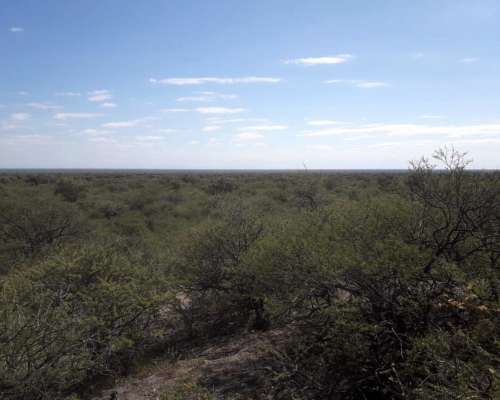 Venta de Campo 4000 Hectareas Cruz del Eje. Ganadero