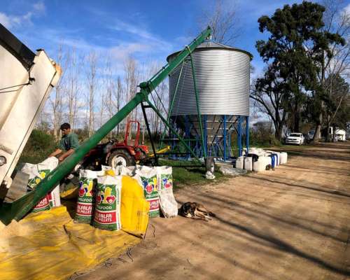 Silo Aereo 40 TN. Cono a 45