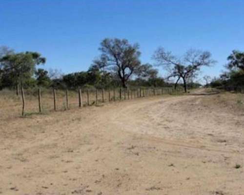 Campo Ganadero - Laprida - Santiago del Estero.-