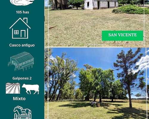 Campo en San Vicente 105 Has