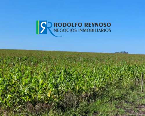 450 HA. Sobre Ruta Prov. N°38