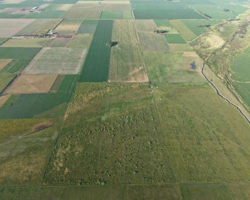 43 HA. Departamento San Martin (santa FE)