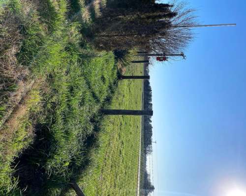 Transporte Logistico en Venta en Carmen de Areco