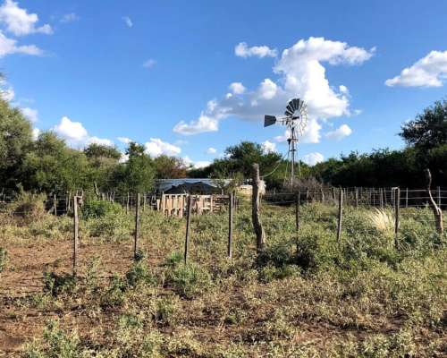 Alquiler Campo Mixto de 417 Ha a 70 km de Merlo.
