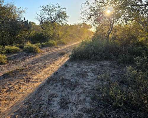 Vendo Campo en Lugones S/ Ruta 34 SGO del Estero 947 Has