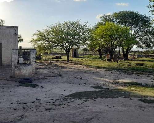 Almafuerte Campo Agricola 40 Has S/camino Real Agua y Casa -