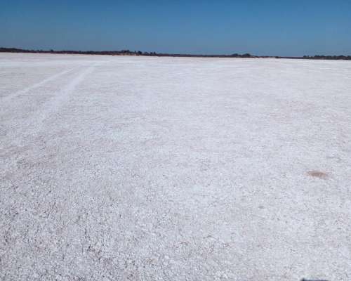 Se Vende Campo de Salinas Blancas en Córdoba