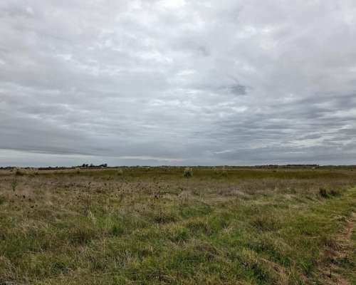 350 Hectareas Bolivar Venta