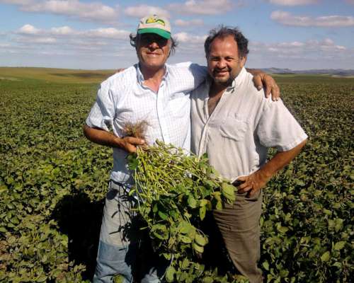 1000 Has de Campo Mixto en Ancasti Catamarca