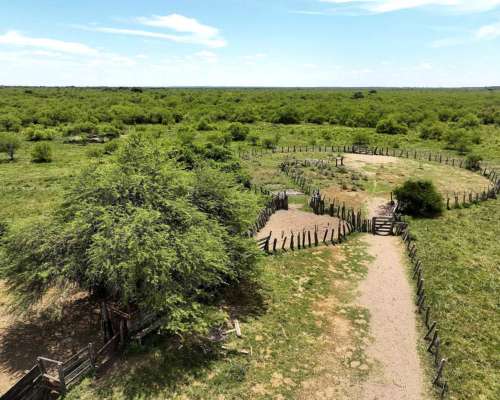 Pcia. de Corrientes - Sauce 1076 Ha