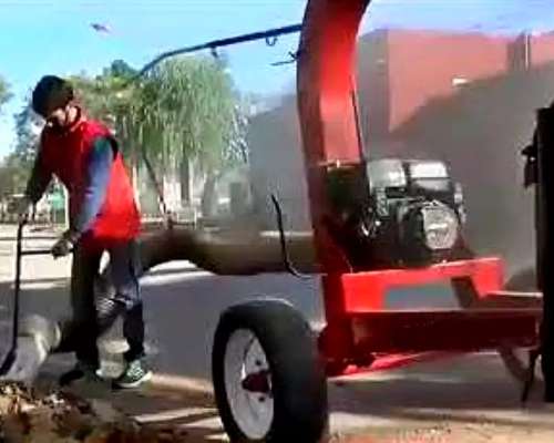 Aspiradora de Hojas Micelli