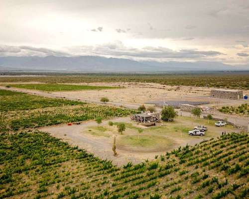 Pcia. de Salta - San Carlos 315 Ha