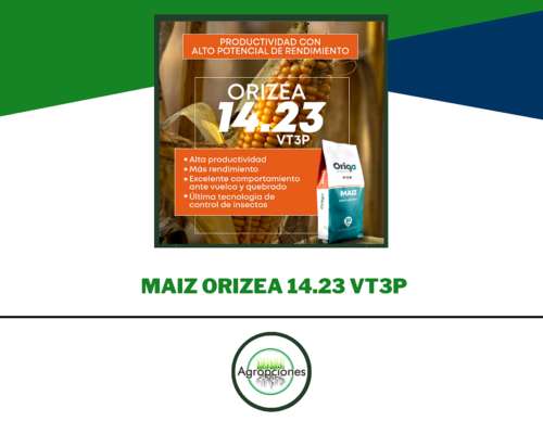 Semilla de Maiz Orizea 14.23 Vt3p