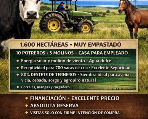 Vendo Campo Zona Dorrego 2000 Has Excelente