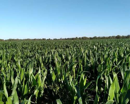 200 Has Agrícolas Sobre Pavimento