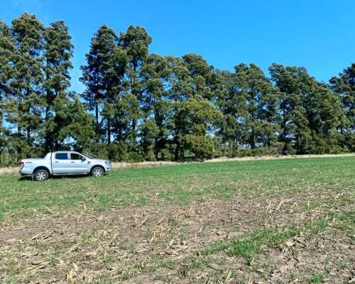 5 Has Agrícolas Sobre Ruta, Hermoso Entorno, Baradero