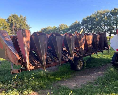 Maicero Mainero de 8 a 70