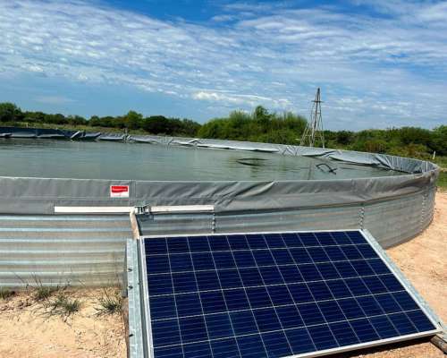 Venta / Campo Ganadero / Huanqueros / 1385 Ha
