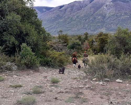 Lago Lezana 39 Ha Zona Cholila - Costa de Lago