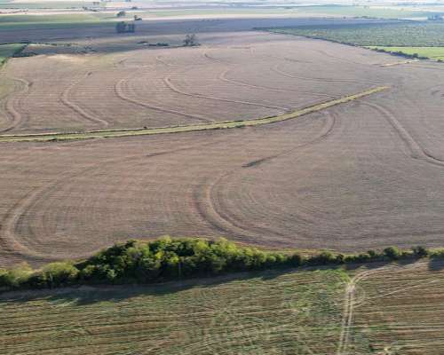 250 Hectáreas de Campo Agrícola en Gualeguaychú, Sobre Ripio
