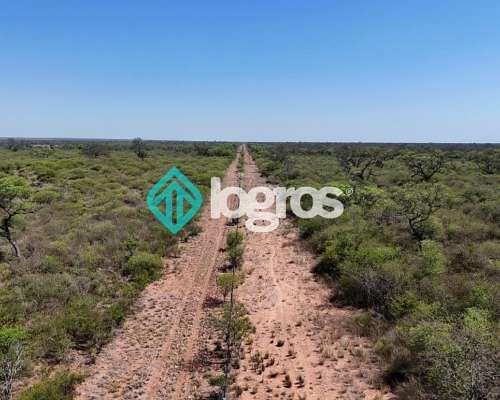Campo en el Tunal, Salta