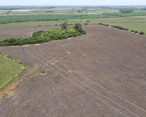 115 Hectáreas Agrícolas Sobre Ruta, Caseros Entre Ríos.