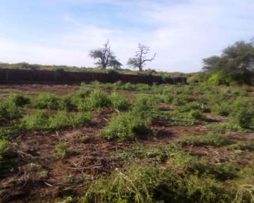 2vendo o Permuto Campo con Escritura