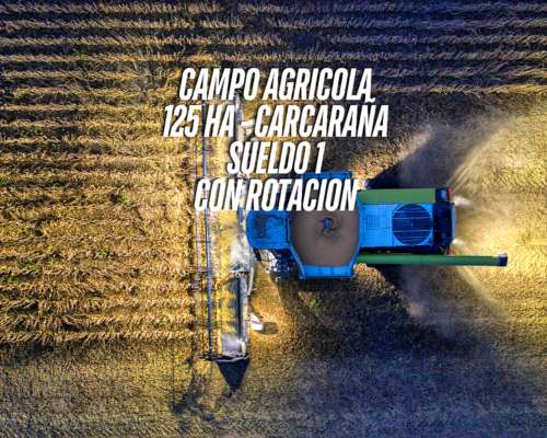 Campo Agricola en Venta de 125 Ha en Carcarañá