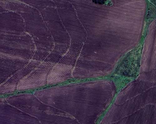 Villa Elisa Entre Rios Campo Agricola y Ganadero