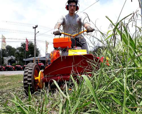 Motodesmalezedora PRO C/motor Brigg y Stratton 13.5 HP 1009