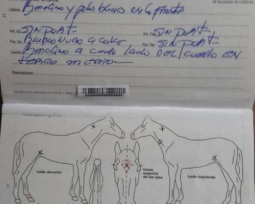 Equino a la Venta