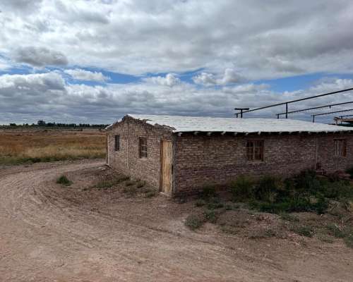 Finca en Venta 57 Hectáreas - Rpn° 24- la Pega Mendoza