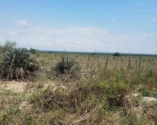 Ezn Venta Campo Ganadero 700