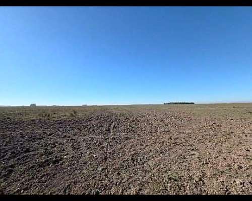 Campo en Venta Poblet