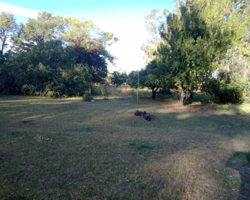 107 Ha muy Lindo Campo en Coronel Pringles