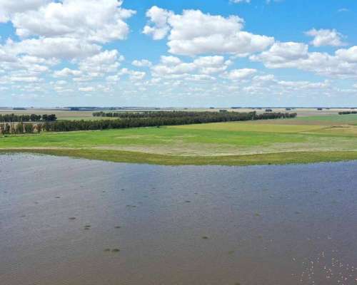 Pcia. de Buenos Aires - Cañada Seca 844 Has