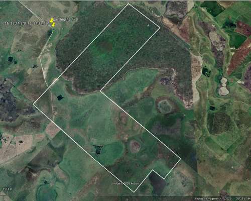 470 Ha Ganadero Chascomus