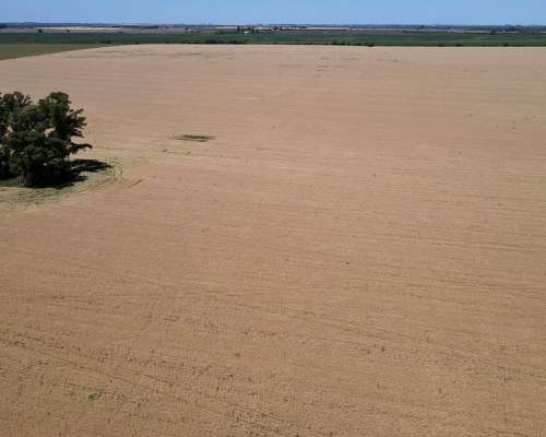 101 Hectáreas Agrícolas con Buen Acceso en Gualeguaychú.