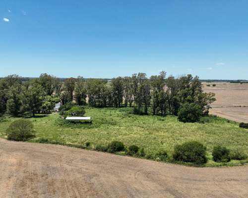 Campo Agrícola con Casco en Zarate