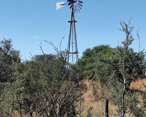 Villa Mercedes SUR 300 Has